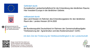 Information zu verschiedenen Förderungen